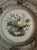 RARE William Smith & Co Multi Brown WEDGeWOOD Fruit Basket & Floral Transferware Plate