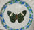 17 Piece Majolica Blue & Green Transferware Instant Platewall Vintage English Plates