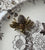 Fragments of Grace No. 6 — Among the Gilded Flowers
