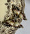 Fragments of Grace No. 6 — Among the Gilded Flowers