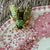 Fragments of Grace No. 16— Queen Bees Garden View ~ Bi Color Pink Royal Doulton Plate