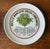 Set of 6 Vintage French Cottage Kitchen Garden Lettuce 🥬 Salad Recipe Plates