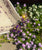 Fragments of Grace No. 38 ~Grace Takes Flight~ Purple Transferware Triangular Serving Bowl w/ Dragonfly