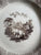 Antique 1839-41  Brown Transferware Plate Sirius Thomas Edward & Co
