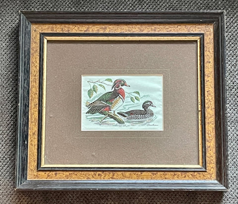 Vintage English Woven Silk 🦆 Wood Duck Birds Picture Wood Frame & Matted