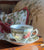 Brown ish Olive Vintage English Transferware Tea Cup Teacup & Saucer  Friendly Village The Ice House