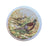 Vintage English Anchovy Paste Pot Lid & Jar Pheasants Trinket Pill or Ring Box
