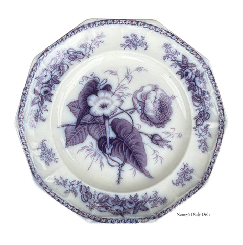 Antique Octagon Purple Flow Mulberry Plate Peony & Morning Glory Hulme and Booth Flora