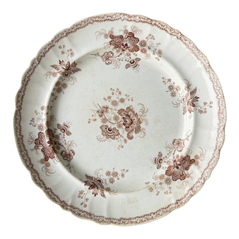 C. 1828-46 RARE Botanical Brown Transferware Staffordshire Plate Regina Enoch Woods