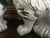 Vintage X Large Black & White Gilt English Country Spaniel Staffordshire Dog Figurine