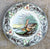 Vintage English Transferware Plate Adams Audubon Wild Game Birds Long Billed Curlew