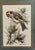 Vintage English Woven Silk Goldfinch Bird Framed & Matted
