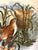 Antique Pratt Cauldon Great Reed Warbler Bird & Nest Brown Transferware Plate Relief Border