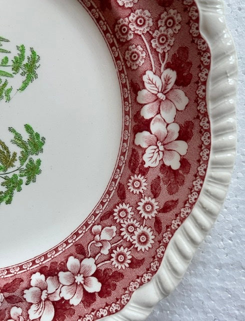 Spode Copeland Merriemount Indented Plate RARE Garden scenery Red & Gr