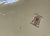 Polychrome Brown Transferware Platter Children Horses Pastoral Davenport Rural Scenes