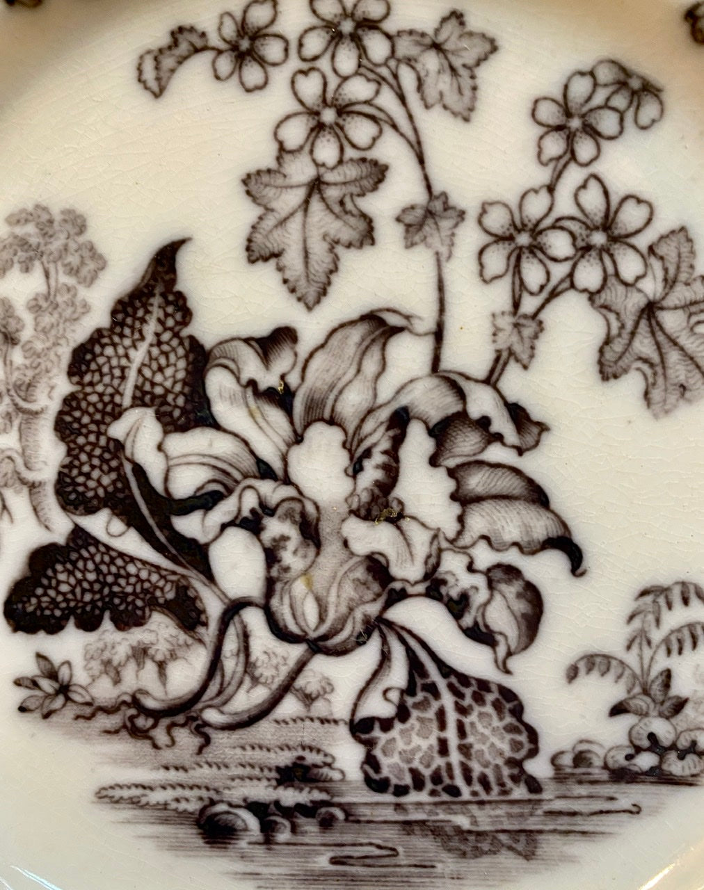 Antique 19thC Staffordshire Black Mulberry Transferware Pearlware Plat