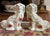 Vintage Pair of Roses on Cream Rose English Staffordshire Dogs