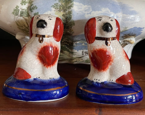 Miniature White w/ Brown Spots English Staffordshire Spaniel Wally Dog figurine Blue Base
