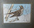Vintage English Woven Silk Mistle Thrush Bird in Branc Matted & Gold Frame