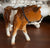 Vintage Country French / English Cow Figurine Goebel