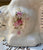 Vintage Pink & Cream Shabby Roses Chintz English Staffordshire Spaniel Dog Figurine