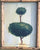 Vintage Topiary Print on Board w/ Distressed Bamboo & Twig Frame