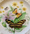 Antique Artist Signed English Butterflies Series Plate Relief Border Zebra Miami Blue & Barred Sulphur