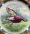 Intricately Hand Painted Spode Copeland Upland Wild Game Bird Downed Turkey Plate  Enameled Clobbered