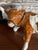 Vintage Country French / English Cow Figurine Goebel