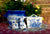 RARE Antique Victorian Staffordshire Blue English Transferware  Bird & Nest  Basket Box Aesthetic Movement