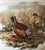 19-20C Antique English Game Bird Pheasants & Snipe Liquor Keg Spirits Barrel  IDEAL FOR LAMP