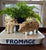 Vintage Antique Country French Pork Cuts Pig / Hog Figurine Bank
