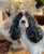 RARE Huge 14” X-Large Vintage Melba Ware England English Springer Spaniel Figurine