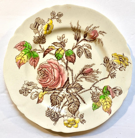Shabby Pink & Yellow Roses Meakin Rosalie Vintage Brown Transferware Plate English