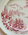 Pink Red Toile TRANSFERWARE 10” Plate Castle on Lake Foxgloves Roses