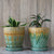 Set of Two Different Majolica Green & Yellow Flower Pot Planters & Saucers