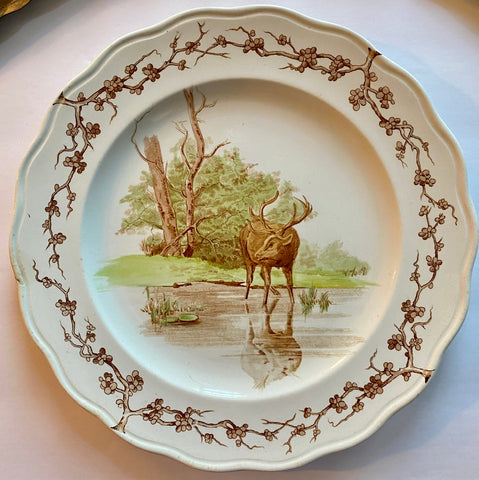 19C Antique Woodland Stag Aesthetic Movement Transferware Plate Brown Westhead Moore