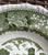 Green Transferware Soup Plate Grazing Horses & Foal in Meadow w/ Rose Thistle Clover Border
