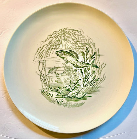 Vintage Aquatic Life Fish 🐠 Plate Green Transferware  Spode Copeland