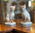 Antique Pair Small Staffordshire Siamese Cats Figurines