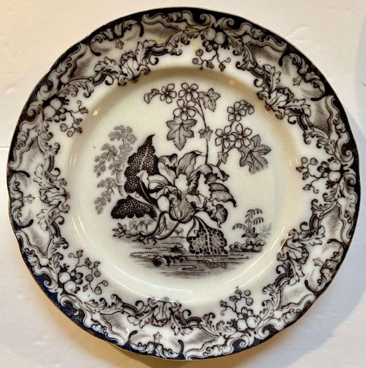 Antique 19thC Staffordshire Black Mulberry Transferware Pearlware Plat