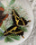 Antique Artist Signed English Butterflies Series Diana Fritillary, Giant Swallowtail Plate Relief Border