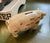 Vintage Antique Country French Pork Cuts Pig / Hog Figurine Bank