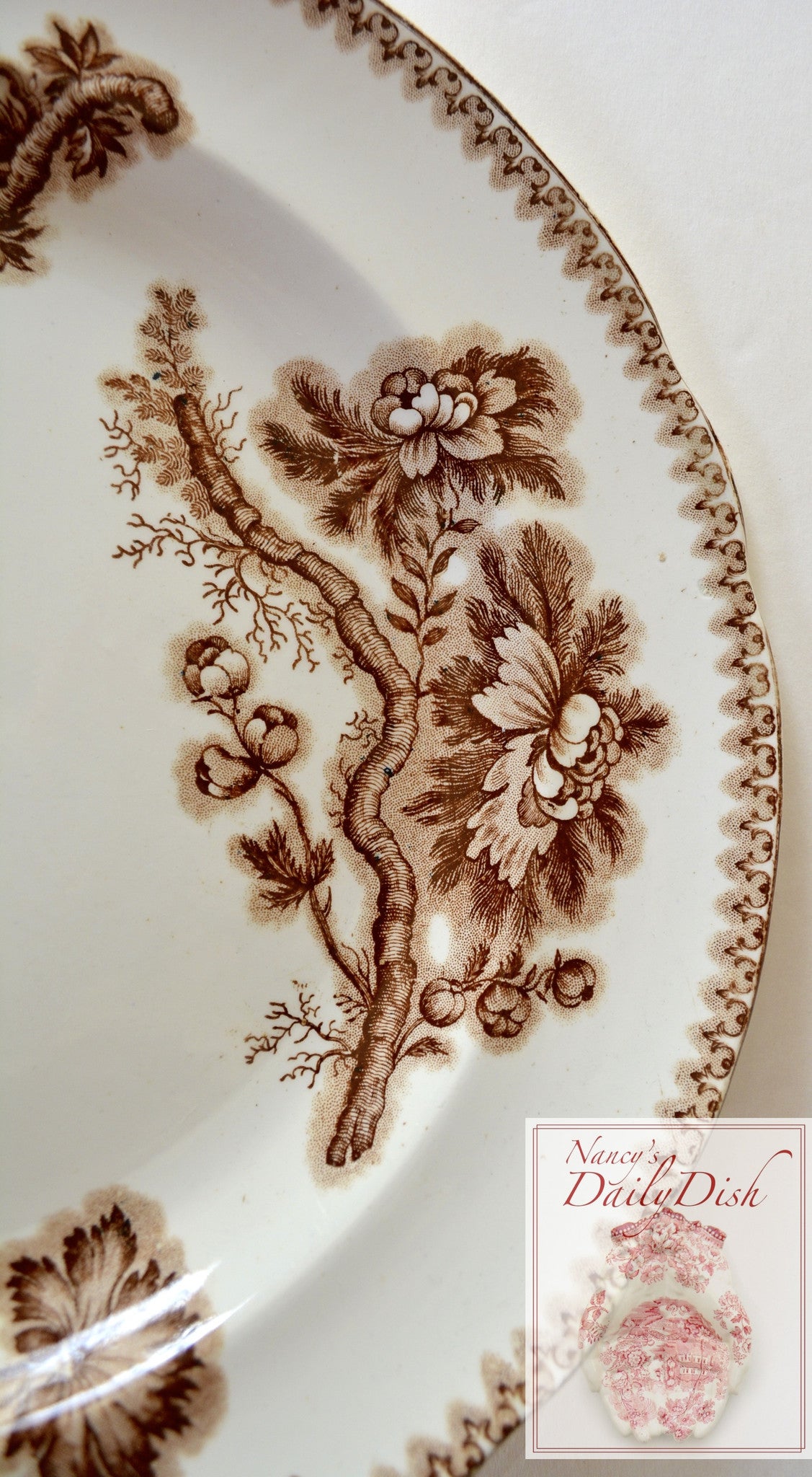 c1865-85 Spode Copeland Aesthetic Movement Botanical Brown Transferwar