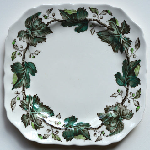 Vintage Brown & White Transferware Hand Painted Green Ivy Square Plate