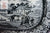 Black English Transferware Rim Bowl Royal Cauldon Circa 1930 - Native - Bucolic Horses