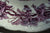 Vintage Purple  Aubergine Transferware Deep Plate - Shallow Bowl Grapes Vines Grazing Cows Cattle Cottage Horse