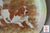 Royal Doulton Plate Hunt Scene English Setters Springer Spaniel in Field Staffordshire