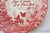 Red Transferware Garden "Friendship" Plaque English Ironstone  - Plaque Victorian Garden Decor - Butterfly & Daisies