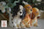 Vintage English Cocker Spaniel Puppy Dog Trio Figurine Planter Flower Pot